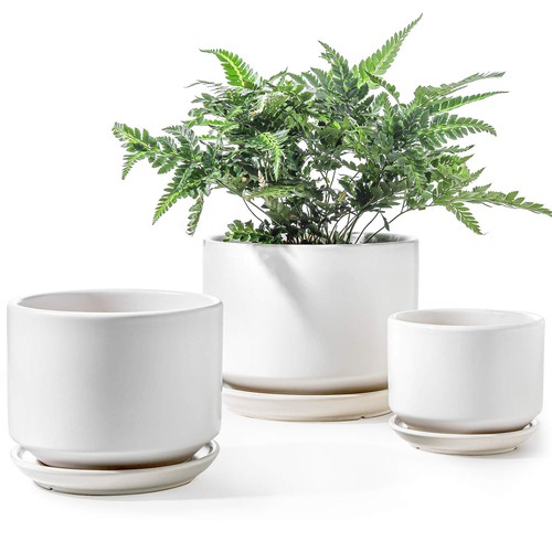 Tauci ceramic pots for - le,